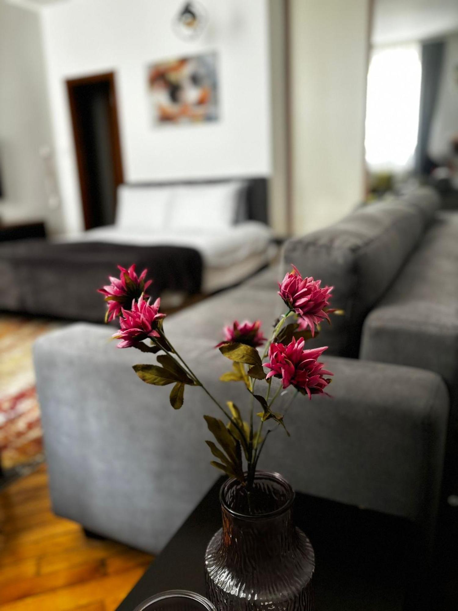 Apartment Mila سراييفو المظهر الخارجي الصورة